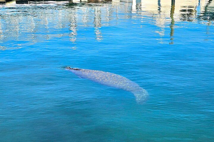 Narrated Boat Tour - Palm Beach Celebrity Homes and Local History
