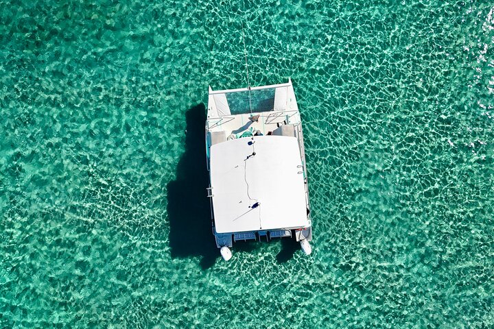 Peanut Island Sandbar and Swim Tour