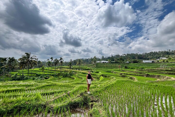 Lombok Private Car Or Van Hire With Driver