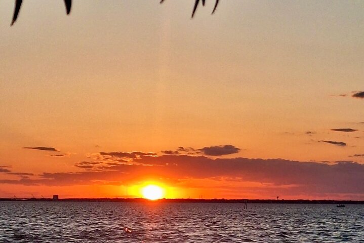 Craft Beer and Wine Sunset Cruise in Palm Beach