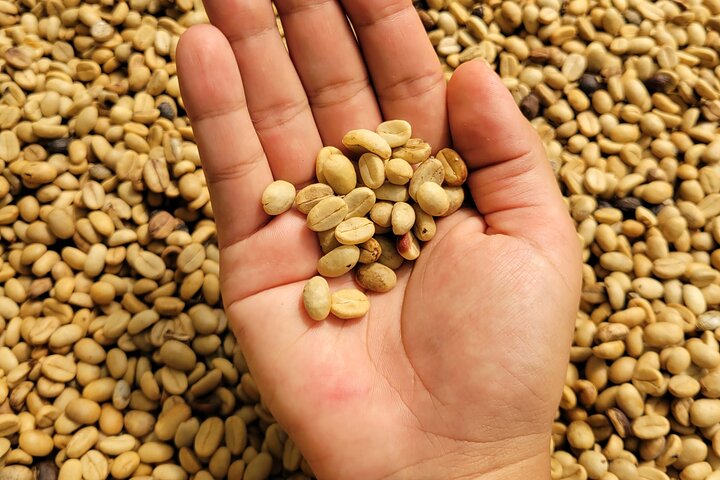 MINCA: Eco-Walk, Coffee Farm, Waterfall & Chocolate Experience!
