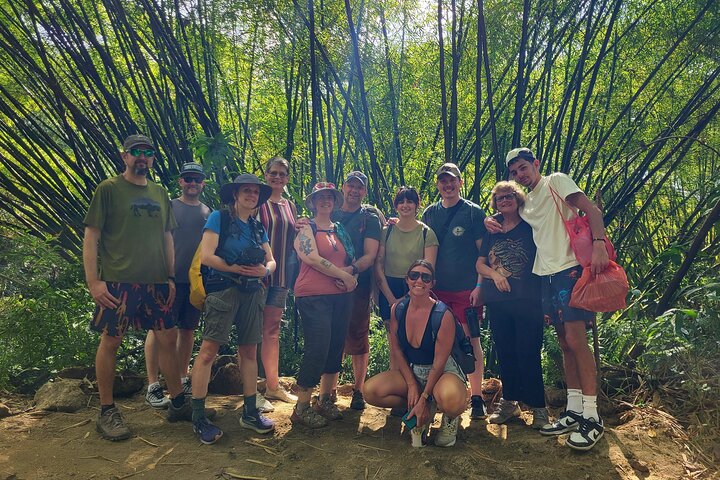 MINCA: Eco-Walk, Coffee Farm, Waterfall & Chocolate Experience!