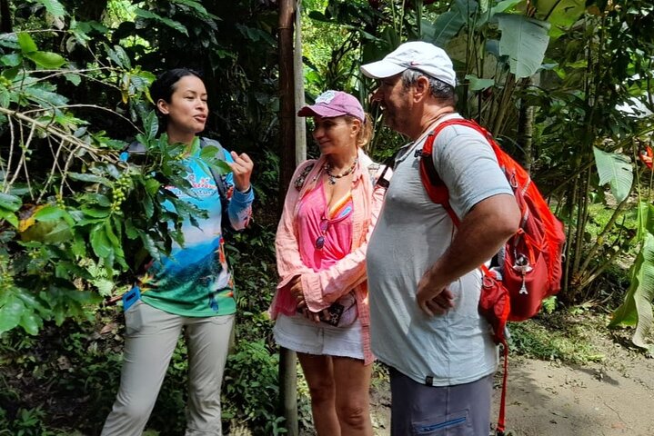 MINCA: Eco-Walk, Coffee Farm, Waterfall & Chocolate Experience!