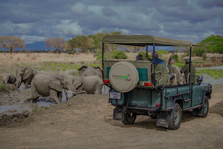 Mikumi Safari Tour: Day Trip Return Flight From Zanzibar