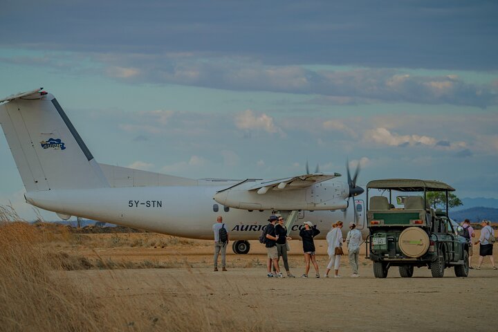 Mikumi Safari Tour: Day Trip Return Flight From Zanzibar