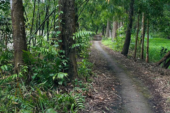Can Tho: Floating Market, Canals, Nature Reserve & Forest