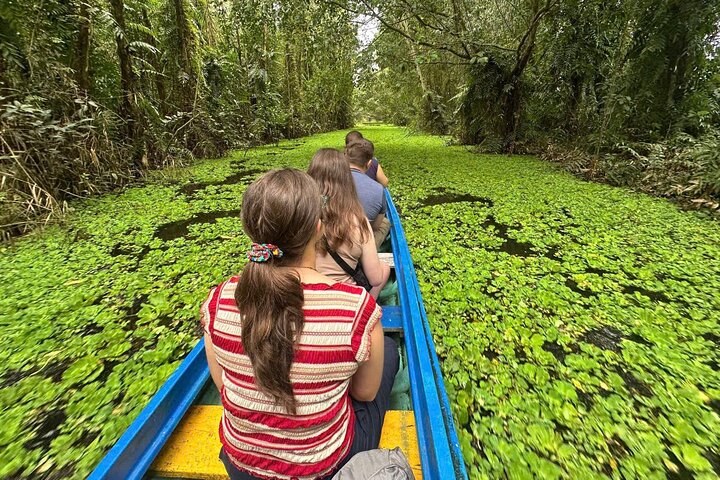 Can Tho: Lung Ngoc Hoang Nature Reserve & Hidden Forests