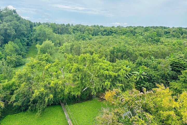 Can Tho: Lung Ngoc Hoang Nature Reserve & Hidden Forests