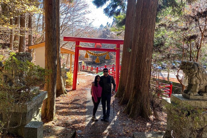 Private Hiking Tour to View Mt. Fuji
