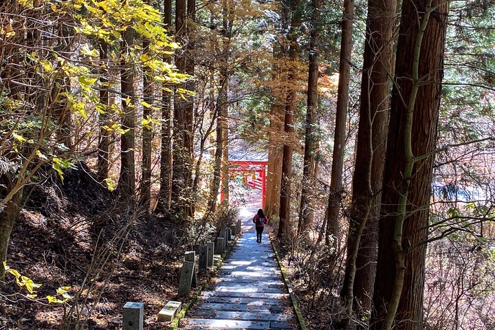 Private Hiking Tour to View Mt. Fuji