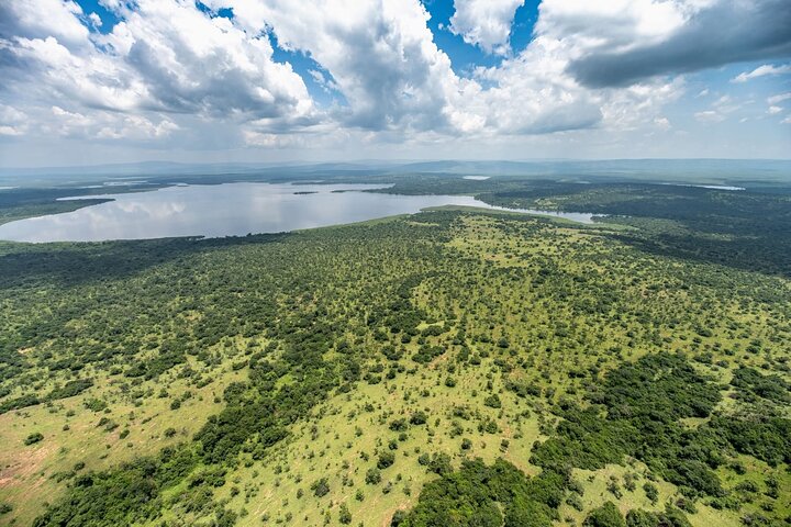 Akagera day safari