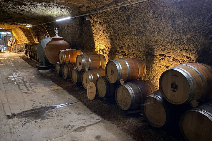 "AMBACIA CELLARS", Tour and Wine Tasting in Amboise, Loire Valley