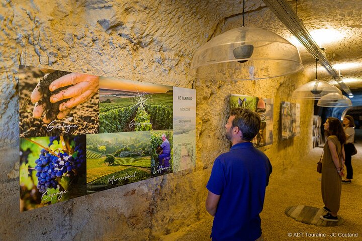 "AMBACIA CELLARS", Tour and Wine Tasting in Amboise, Loire Valley