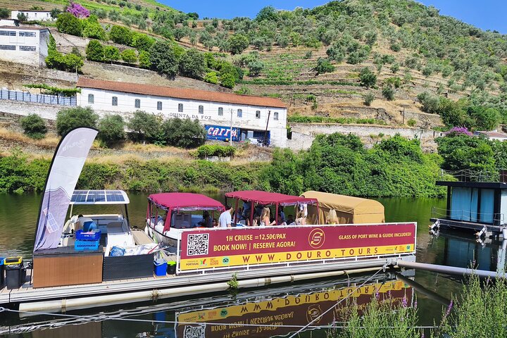 Boat tour 50min through the river Douro in Pinhão