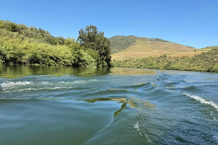 Boat tour 50min through the river Douro in Pinhão