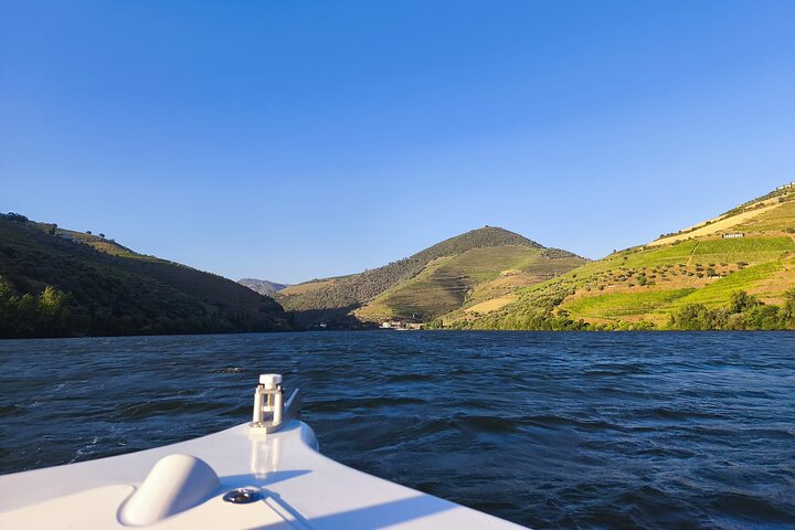 Boat tour 50min through the river Douro in Pinhão