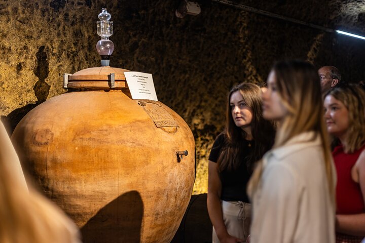 "AMBACIA CELLARS", Tour and Wine Tasting in Amboise, Loire Valley