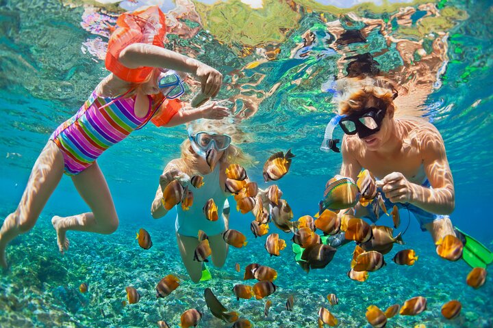 Sharm El Sheikh: Ras Mohammed Snorkeling & Top Sights