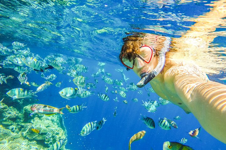 Sharm El Sheikh: Ras Mohammed Snorkeling & Top Sights