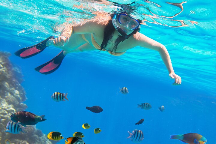 Sharm El Sheikh: Ras Mohammed Snorkeling & Top Sights