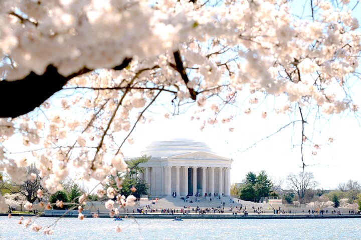 DC in a Day: 10+ Monuments, Boat Cruise, National Mall, Tickets