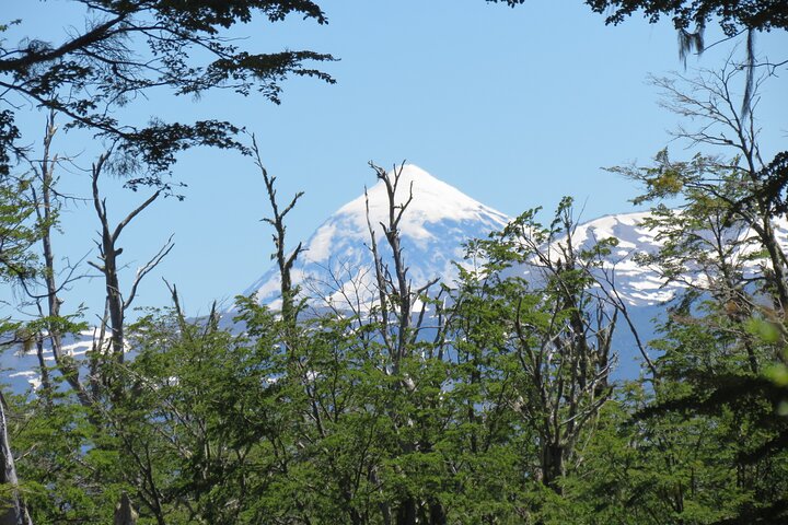 Half-Day Hidden Patagonia Tour from San Martín de los Andes