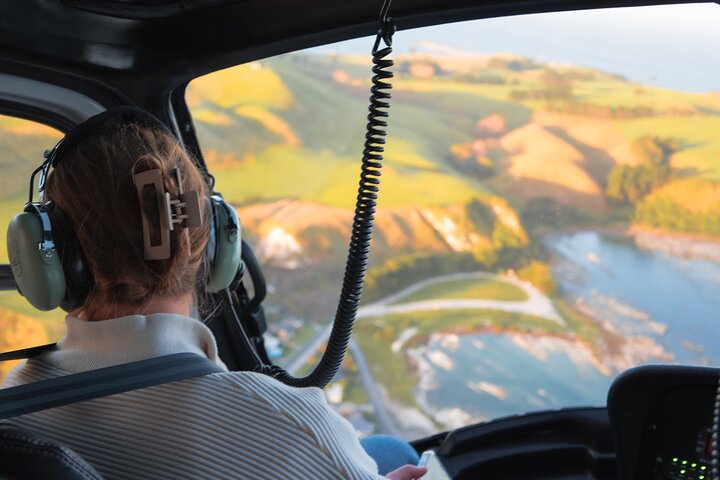 Kaikoura Helicopters Classic Whale Watch