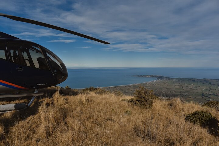 Kaikoura Helicopters Top n Tail Whale Watch flight