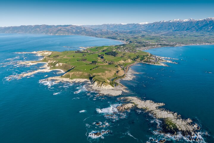 Kaikoura Helicopters Top n Tail Whale Watch flight