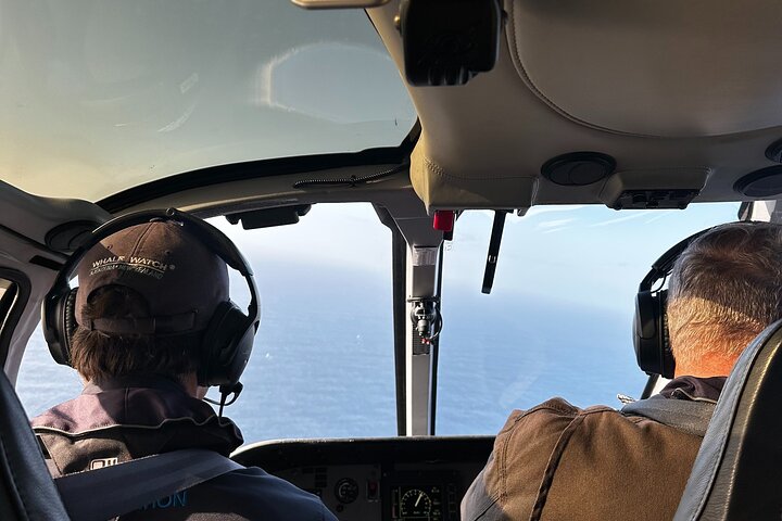 Kaikoura Helicopters Top n Tail Whale Watch flight