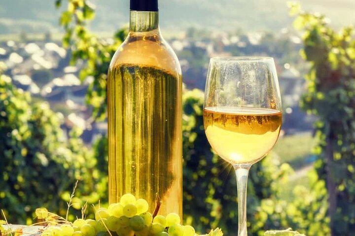 Perfect Italian experience: Cooking class - Wine Tour