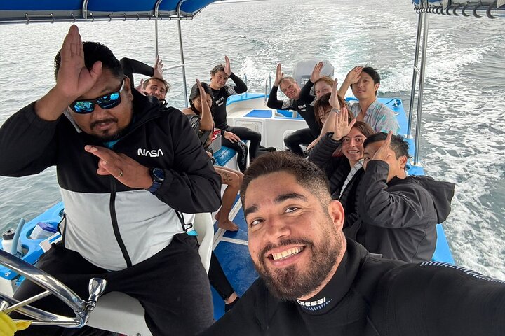 Swim with the whale shark in La Paz, Mexico