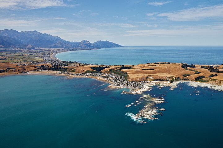 Kaikoura Helicopters Extended Whale Watch