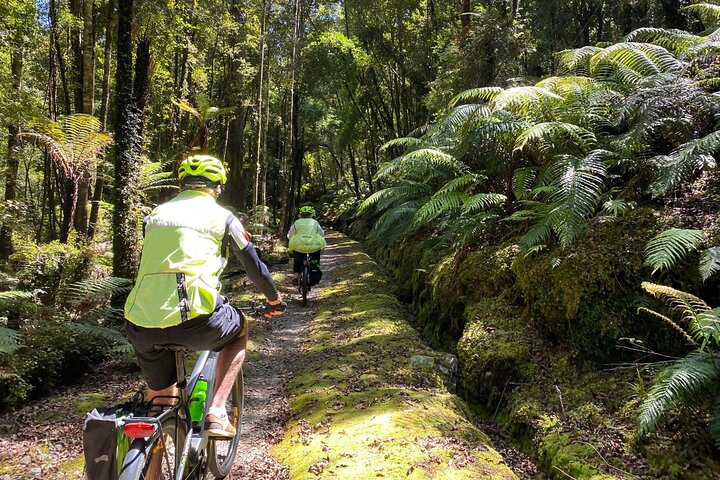 Hokitika Gorge Walk and Wilderness Trail Tour by eBike