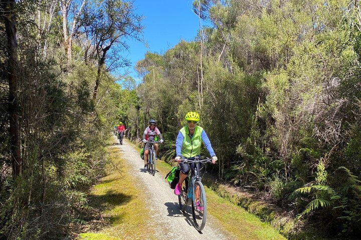 Hokitika Gorge Walk and Wilderness Trail Tour by eBike