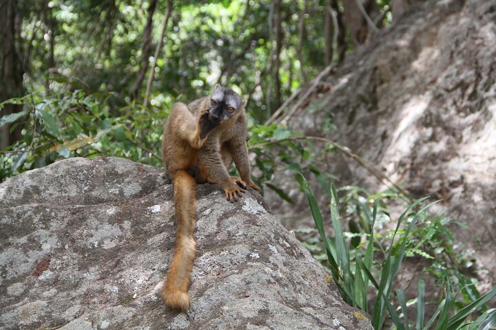Adventure Tour West Madagascar | Nature and Discovery