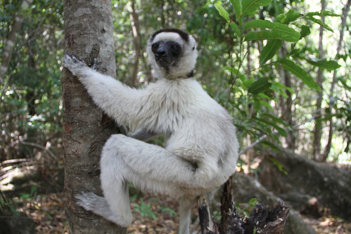 Adventure Tour West Madagascar | Nature and Discovery