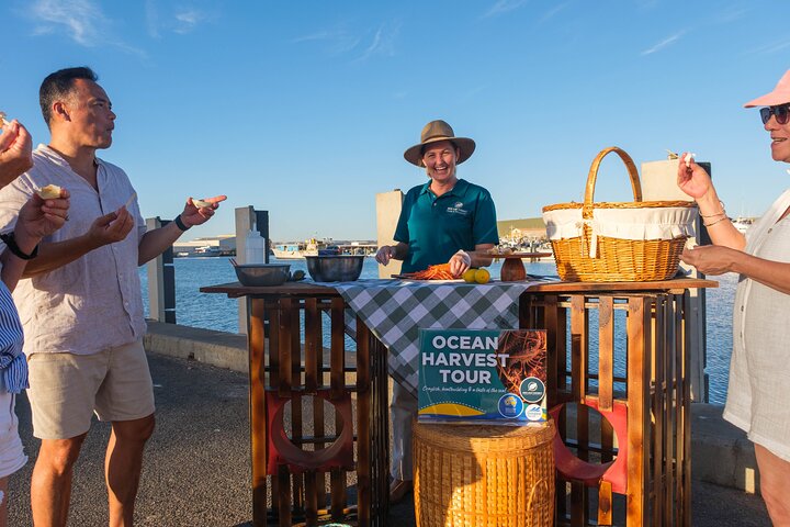 Behind-The-Scenes Ocean Harvest Tour