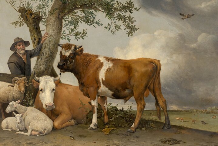 The Hague: Mauritshuis Private Tour with Art Historian