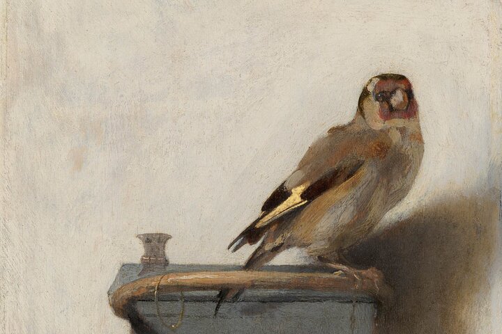 The Hague: Mauritshuis Private Tour with Art Historian