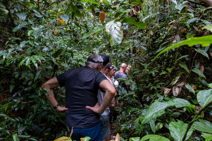 Trekking Tien Son Dinh Phu Quoc