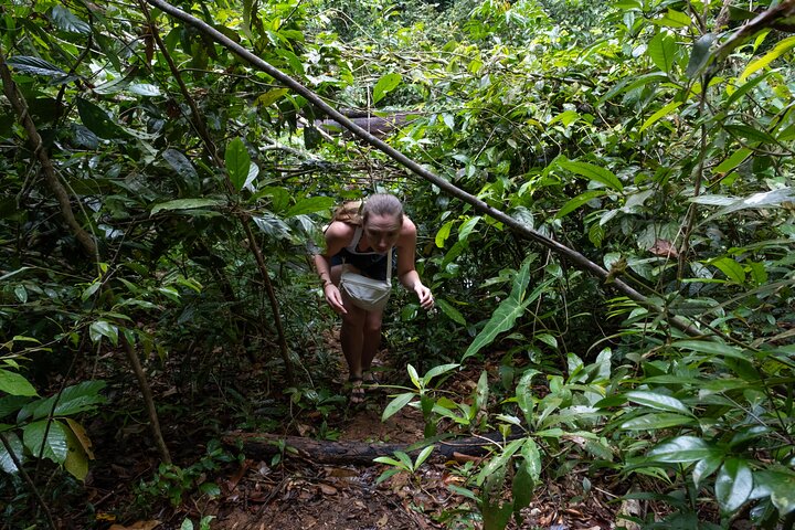 Trekking Tien Son Dinh Phu Quoc