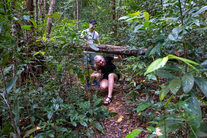 Trekking Tien Son Dinh Phu Quoc