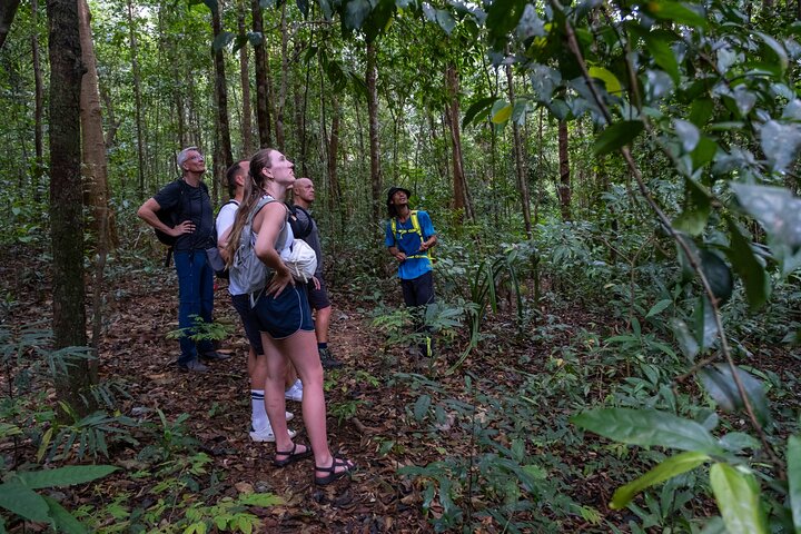 Trekking Tien Son Dinh Phu Quoc