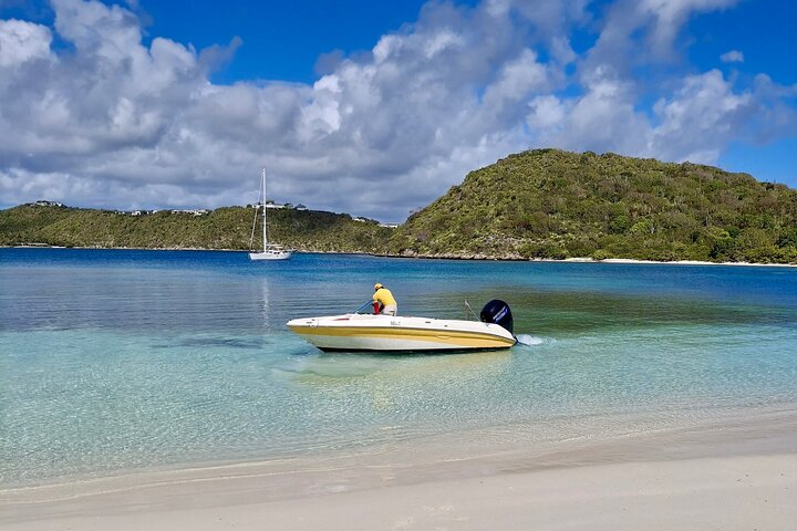 FANTASTIC Green Island and Sea Turtles - Half Day share boat trip