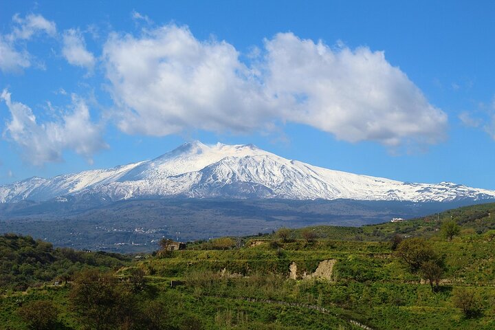 Volcano Etna Tour Wine Tasting Lunch in the Cellar Transfer
