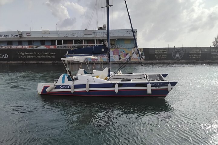 Barbados Catamaran Snorkel Cruise with Lunch and Open Bar