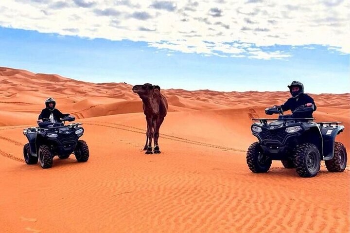 Merzouga quad bike & sandboarding