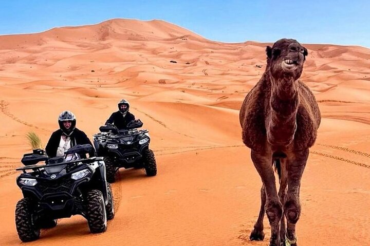 Merzouga quad bike & sandboarding
