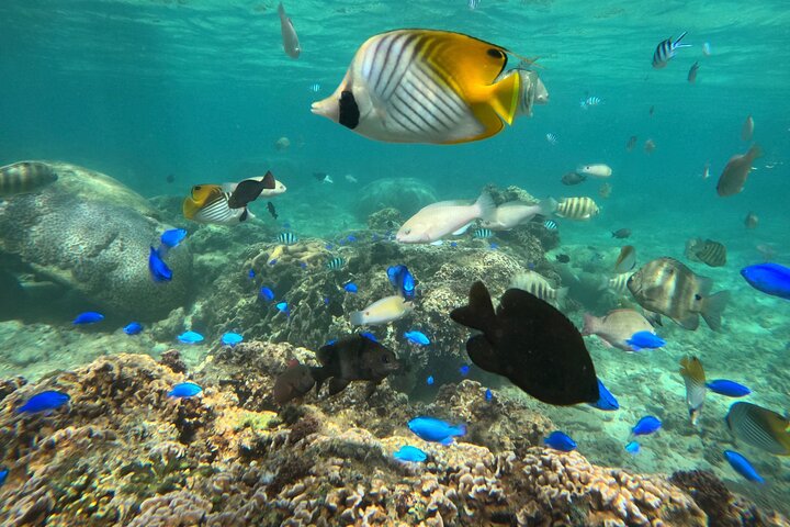 【OKINAWA・BLUE CAVE】Private Snorkelling -Discount for 3+people